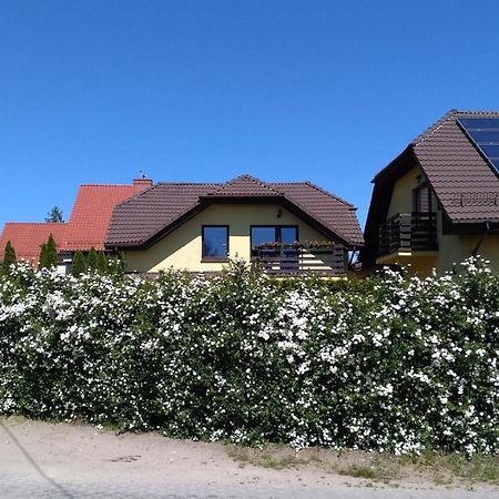 Apartament Sloneczny غدانسك المظهر الخارجي الصورة